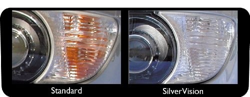 Philips Silver Vision PY21W Ampul