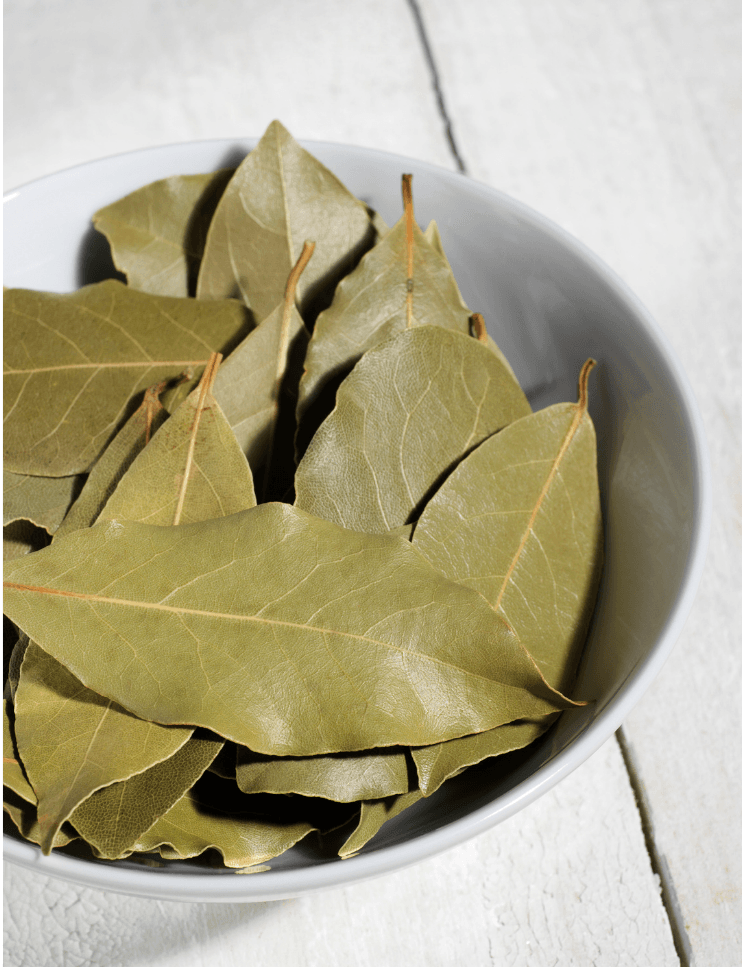 🌿 Kuru Defne Yaprağı