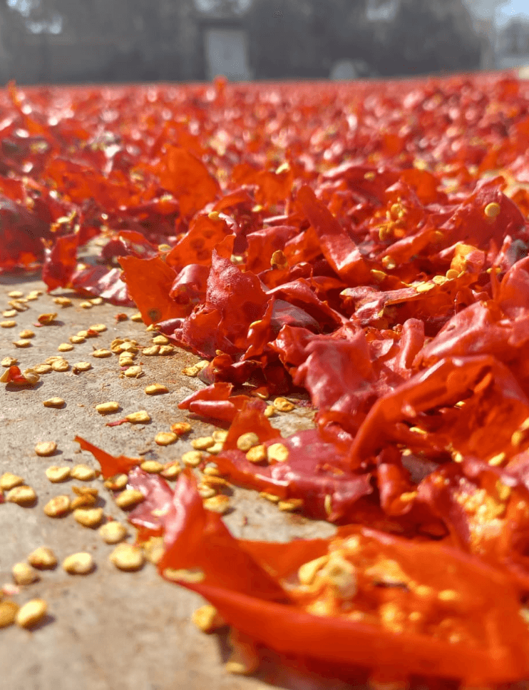 🌶️ Güneşte Kurutulmuş Parça Acı Maraş Biberi