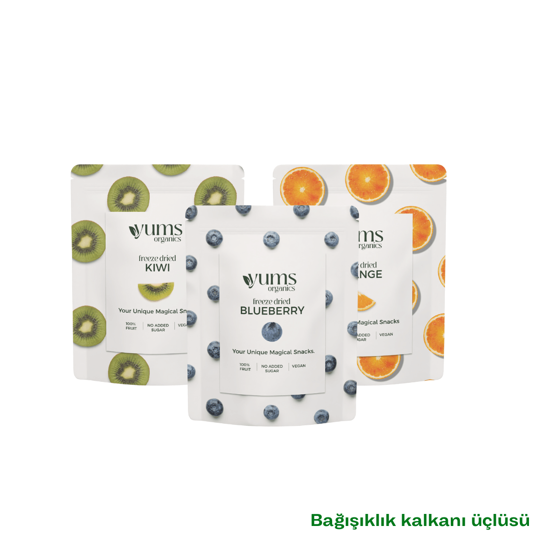 Bağışıklık Kalkanı Üçlüsü (Kivi & Portakal & Yabanmersini)