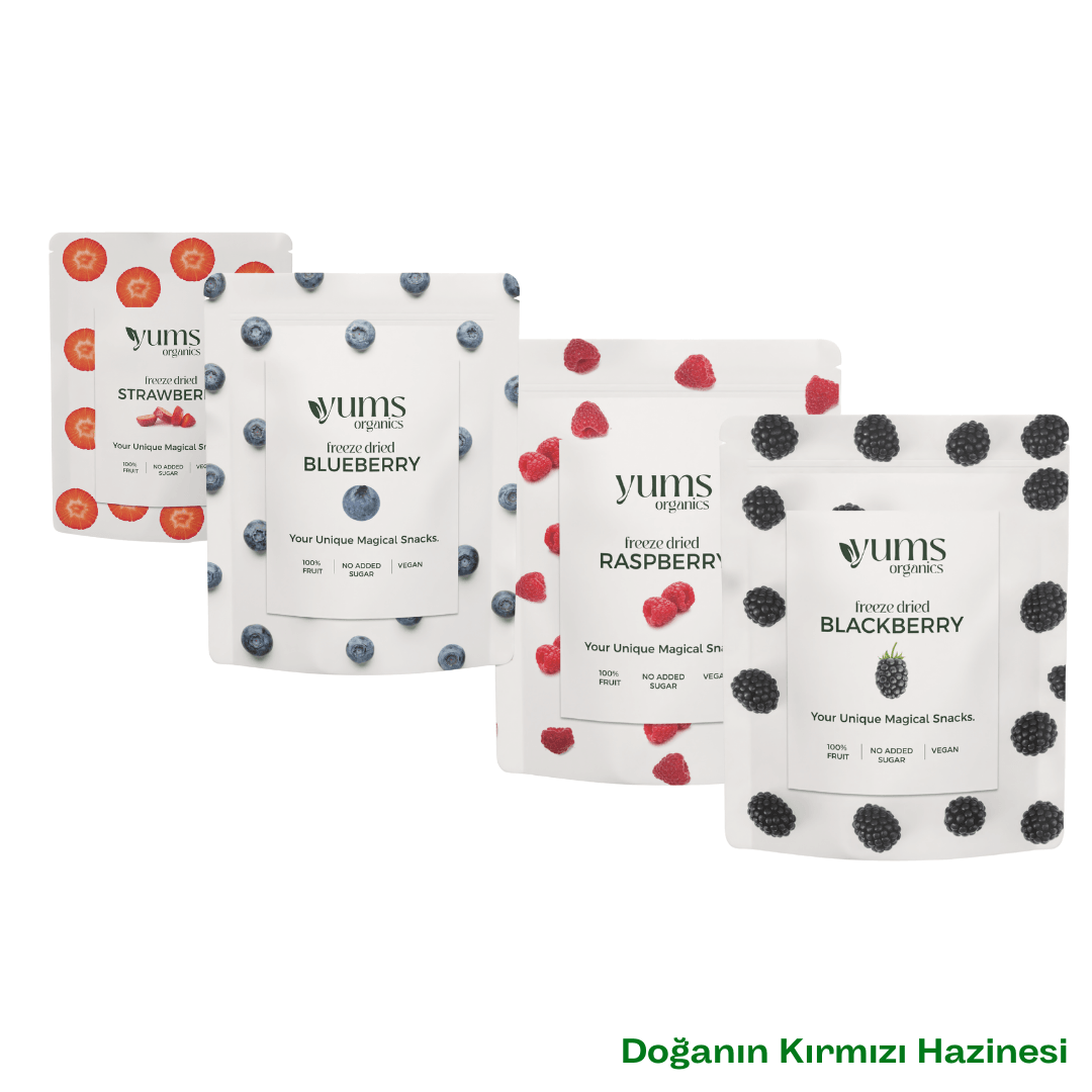 Doğanın Kırmızı Hazinesi (Çilek & Ahududu & Yabanmersini & Karadut)