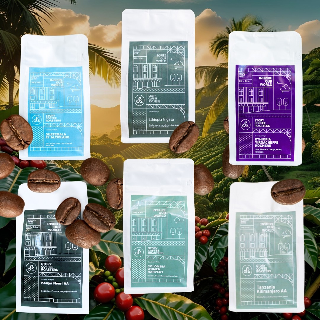Single-Origin Coffee Box - (6 x 100gr)