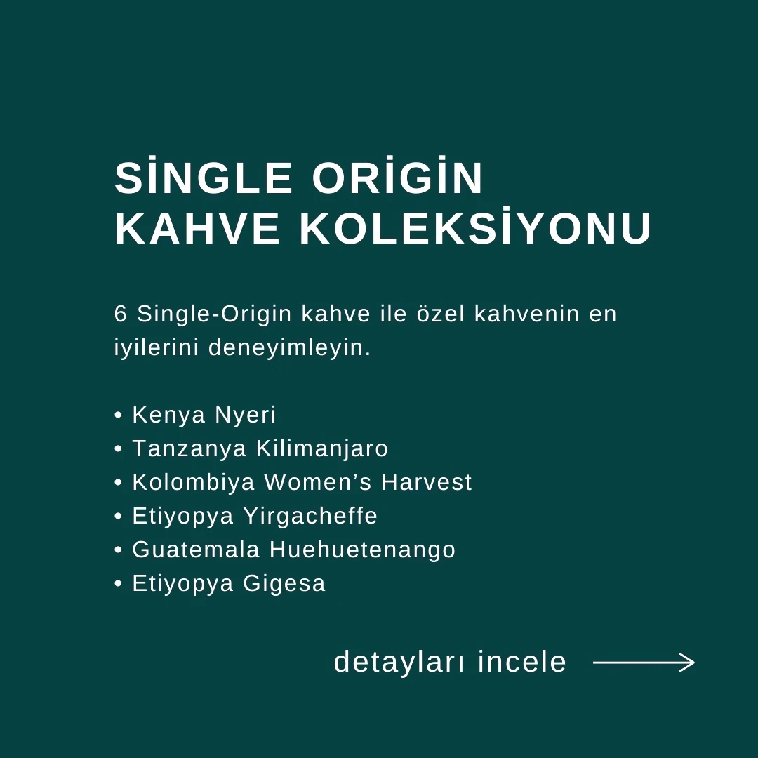 Single-Origin Kahve Kutusu - 6 Kahve Çekirdeği