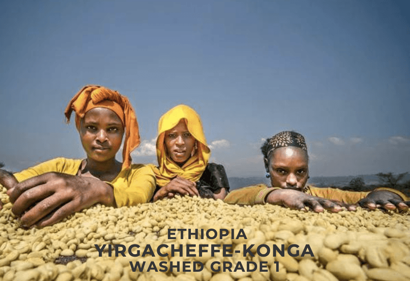 Ethiopia Yirgacheffe Kochere