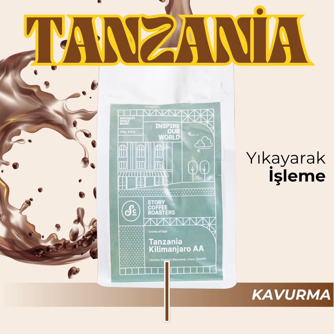 Tanzania Kilimanjaro AA
