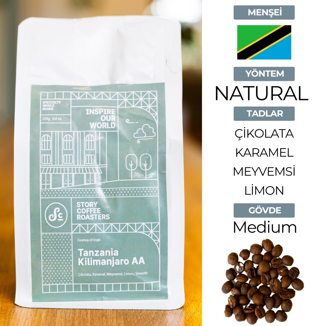 Tanzania Kilimanjaro AA