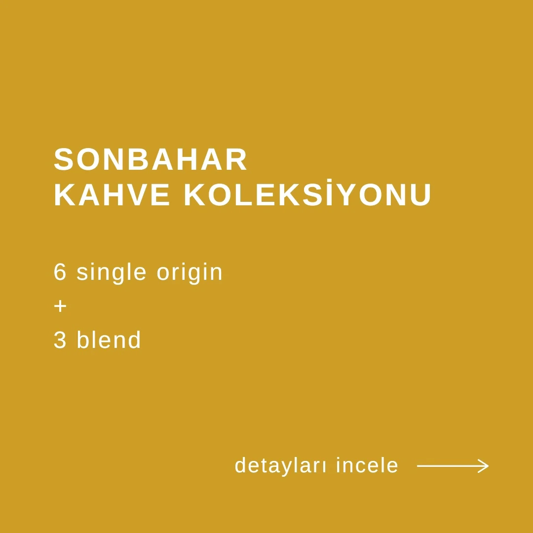 Sonbahar '25 Kahve Koleksiyonu - 9 Kahve Çekirdeği