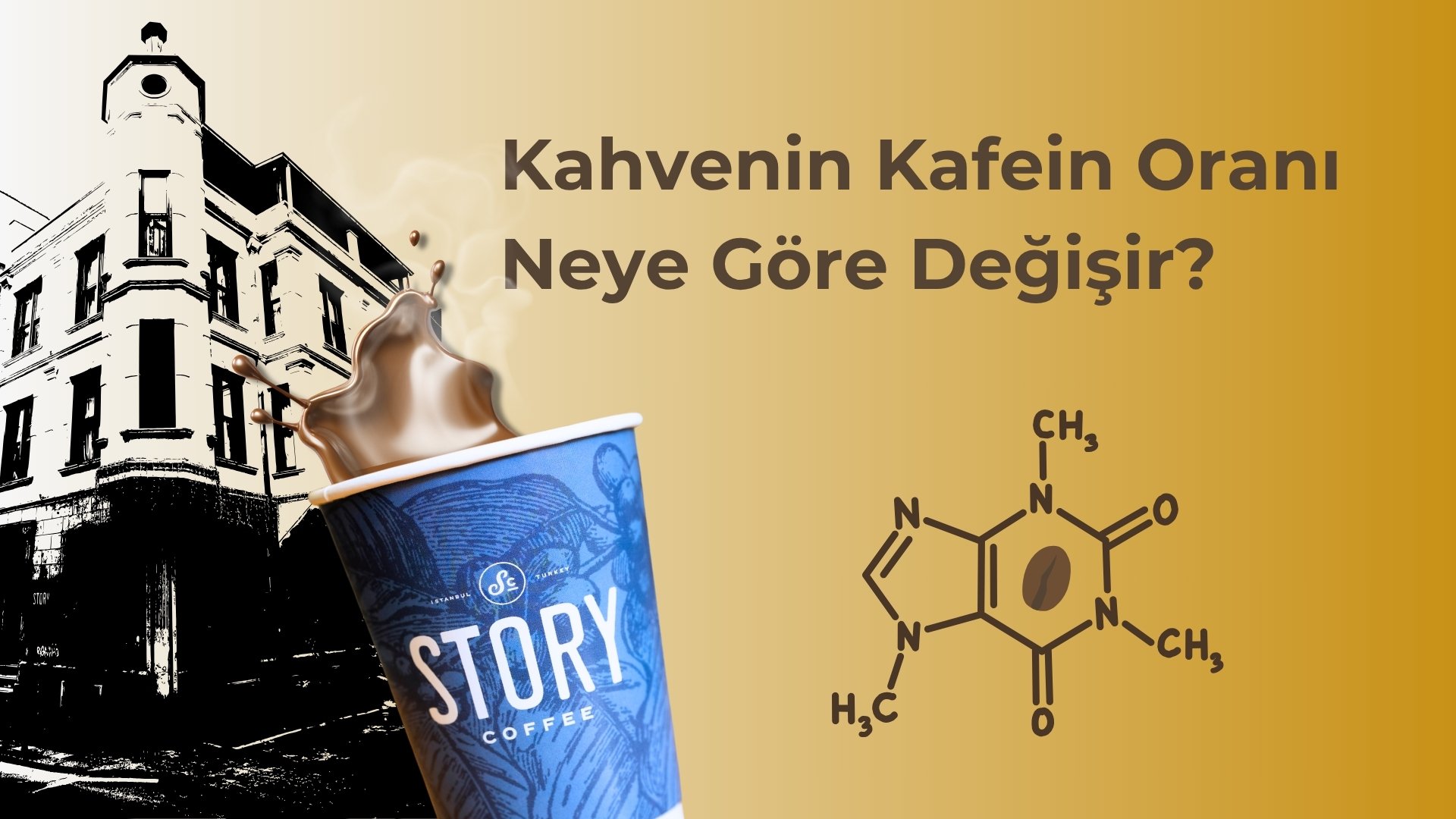 Kahvenin Kafein Oranı Neye Göre Değişir? Yüksek Kafeinli Kahve Nasıl Olur?