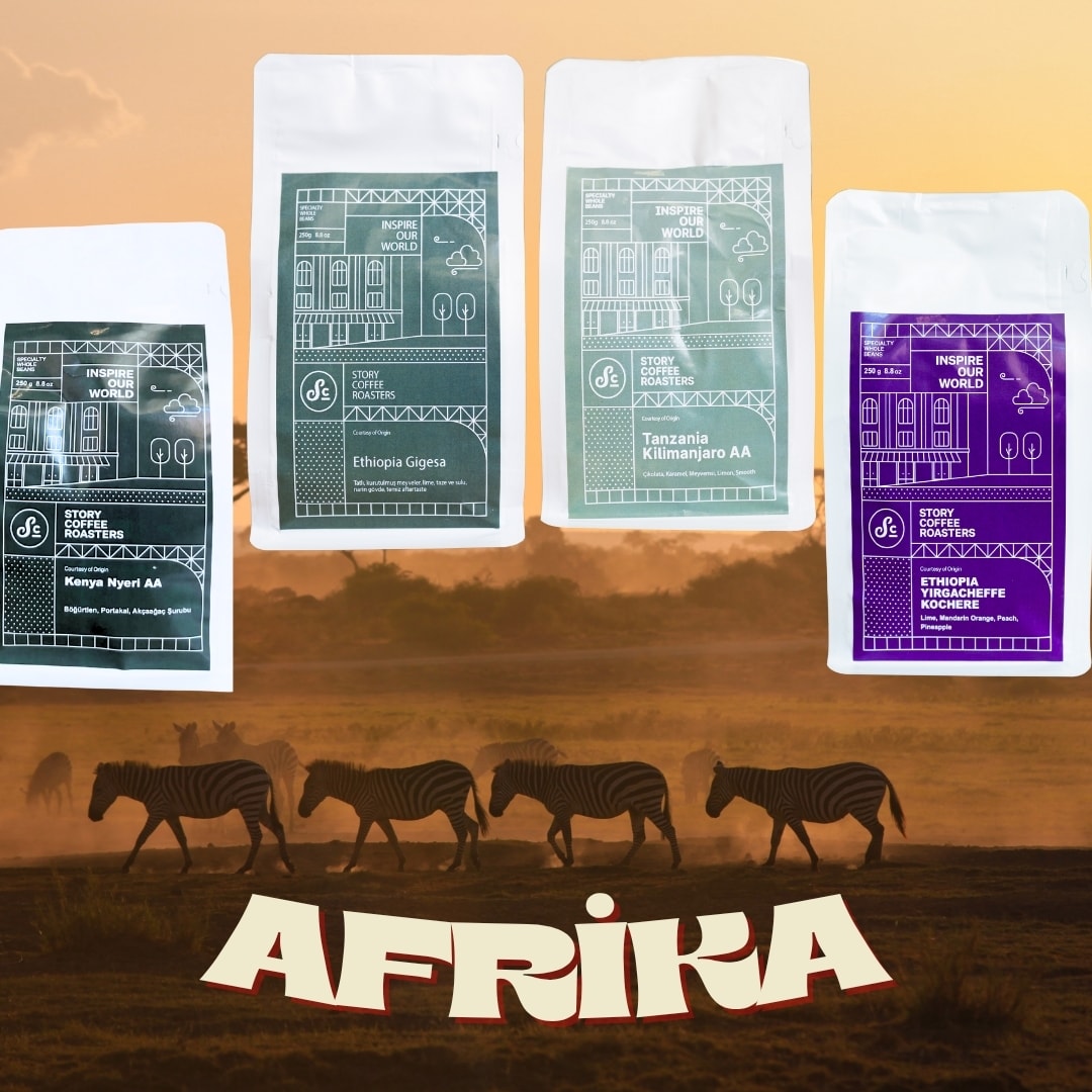 Afrika Kahve Paketi - 4 Kahve Çekirdeği