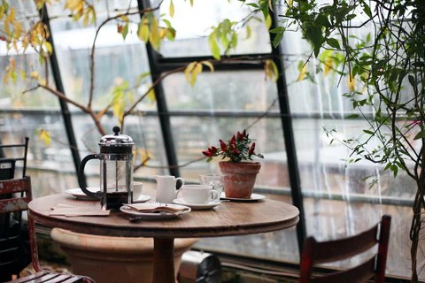 french press