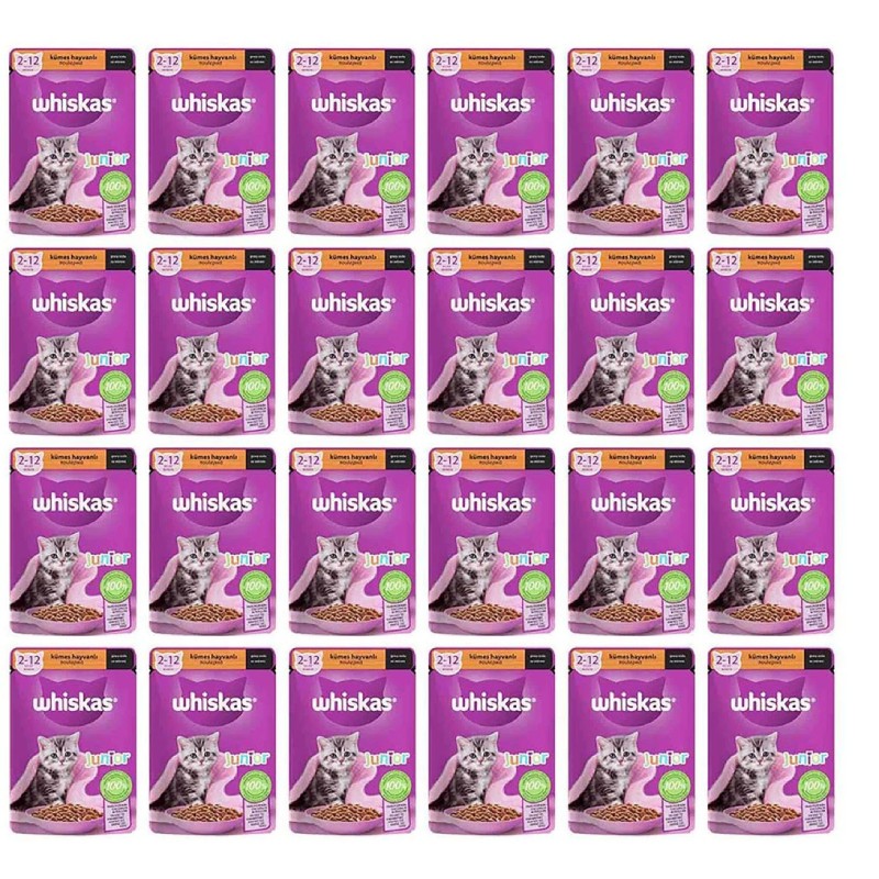 Whiskas Kümes Hayvanlı Yavru Kedi Yaş Mama 85 gr X 24