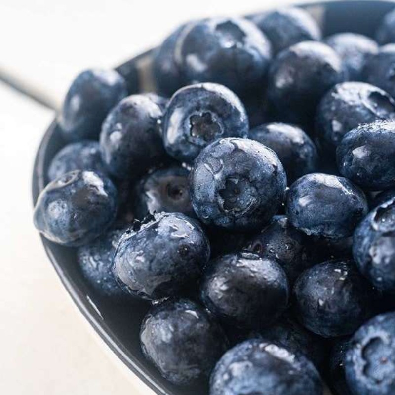 Jardın Blueberry Püre 900 GR*6