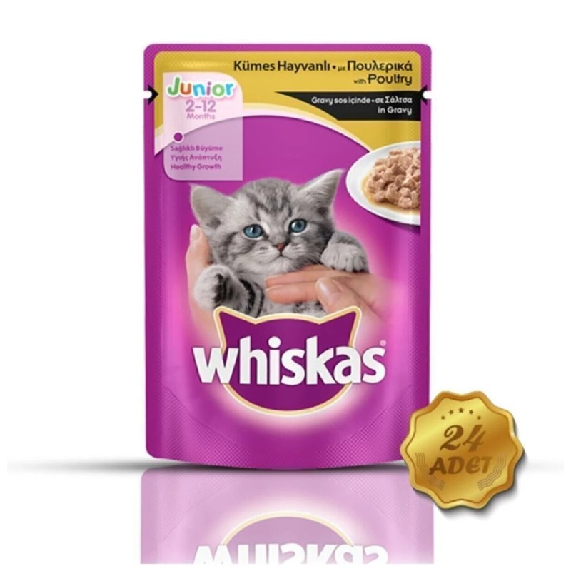 Whiskas Pouch Yavru Kümes Hayvanlı Yaş Kedi Maması 100 Gr X 24 Adet