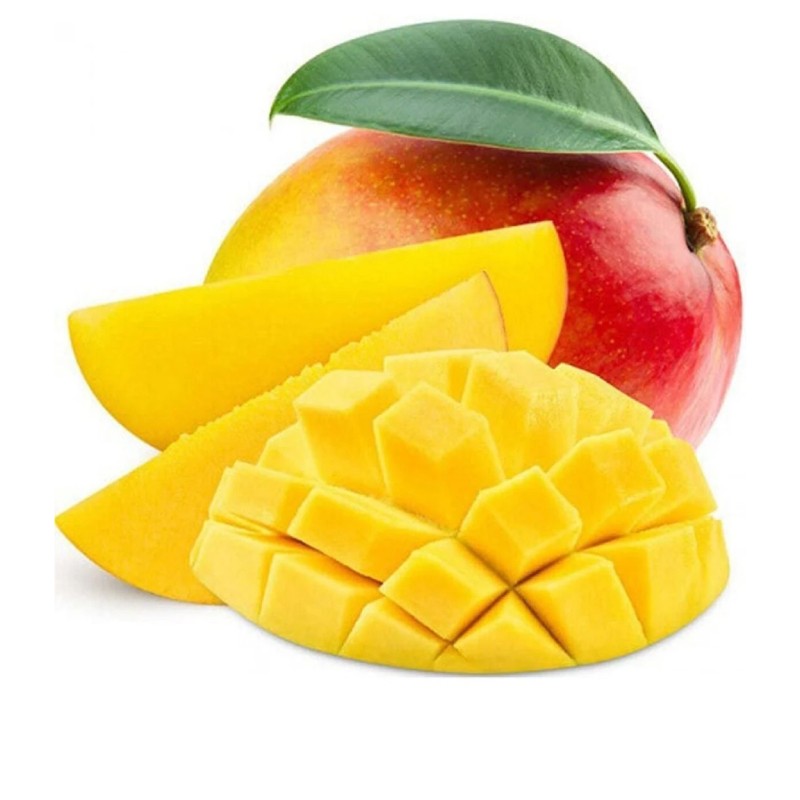 Jardin Mango Meyve Püre Sosu 900 G