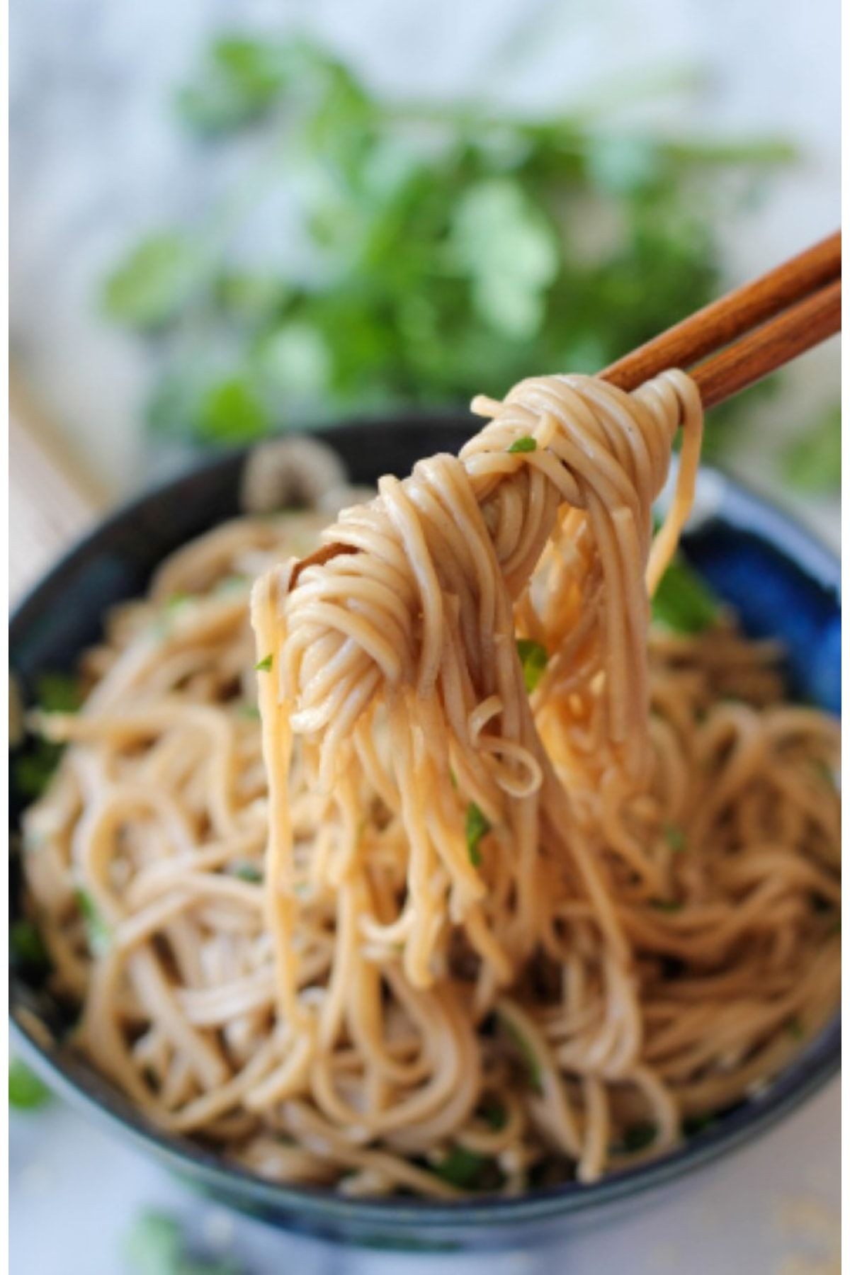 Soba Noodle 300 Gr