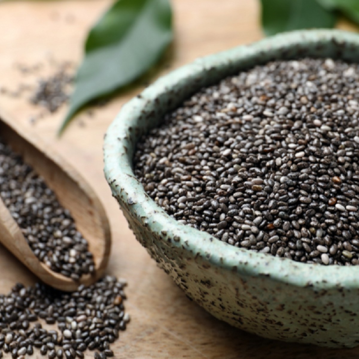 Chia Tohumu