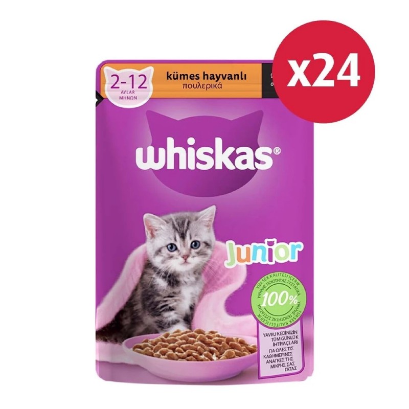 Whiskas Kümes Hayvanlı Yavru Kedi Yaş Mama 85 gr X 24