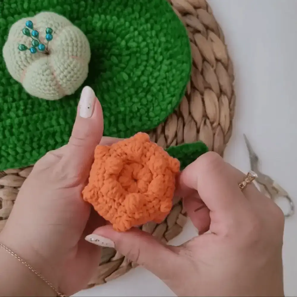 Amigurumi Balkabağı Kuzu Gövde - 2