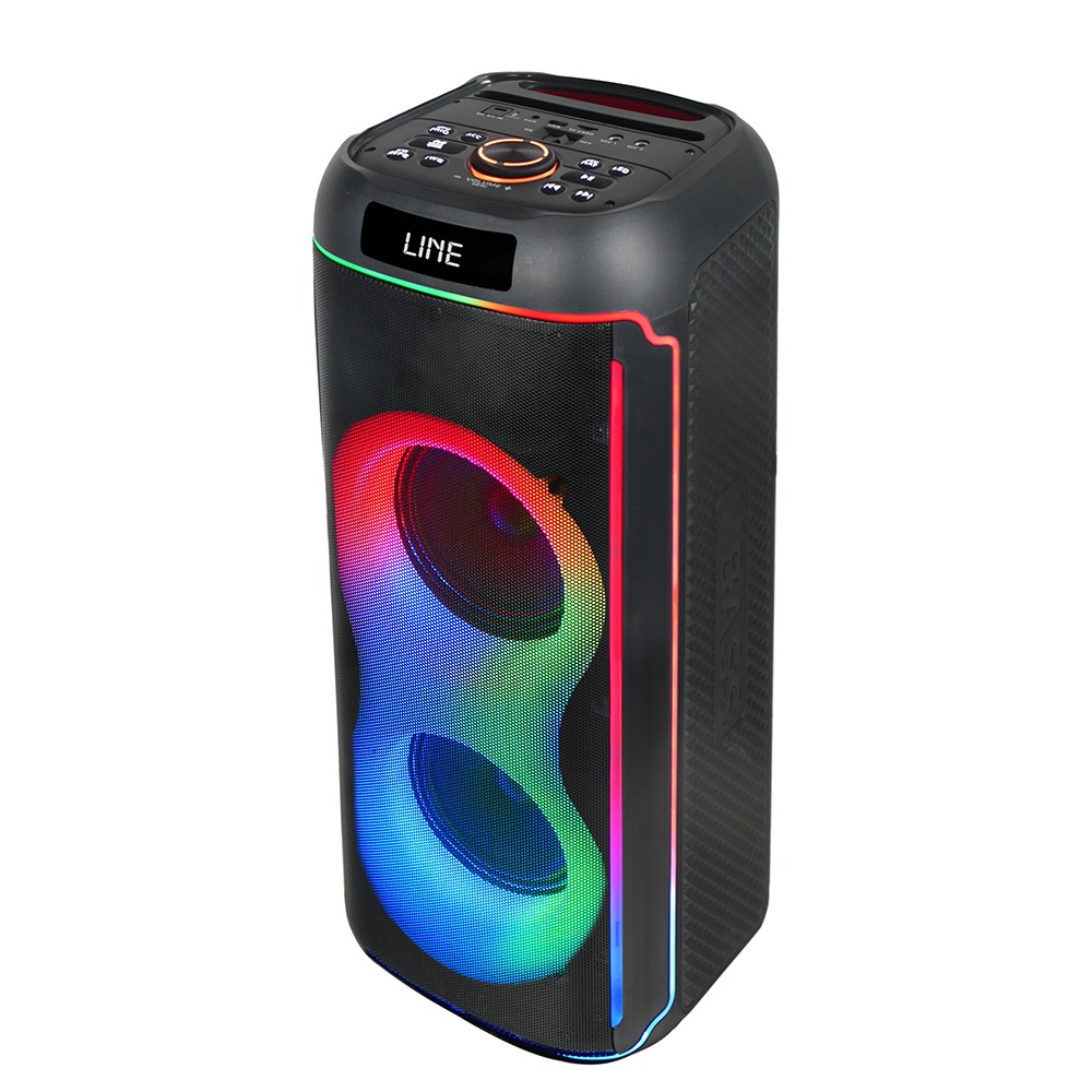 Zore GD-2606 Dijital LED Göstergeli FM Radyolu Mikrofonlu RGB TWS Çift 6.5 inç Stereo Bass Kablosuz Karaoke Hoparlör