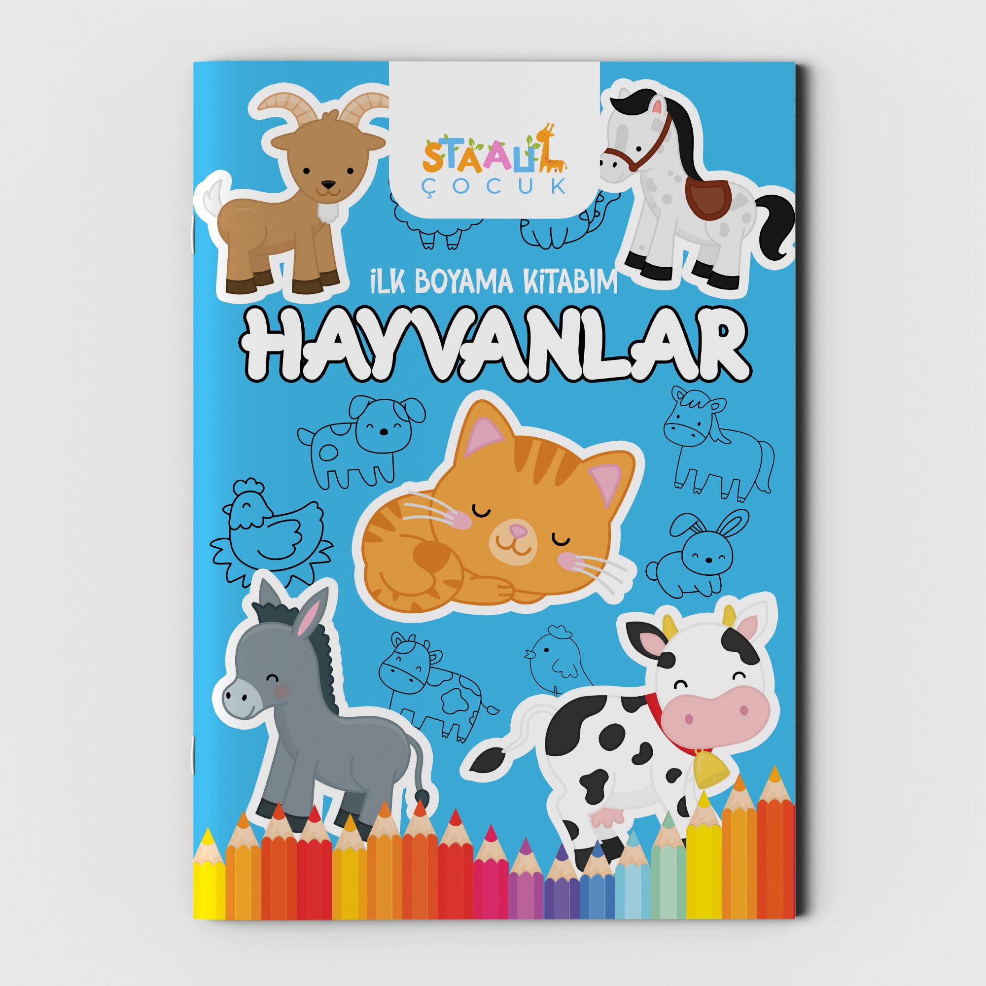 İlk Boyama Kitabım - Hayvanlar