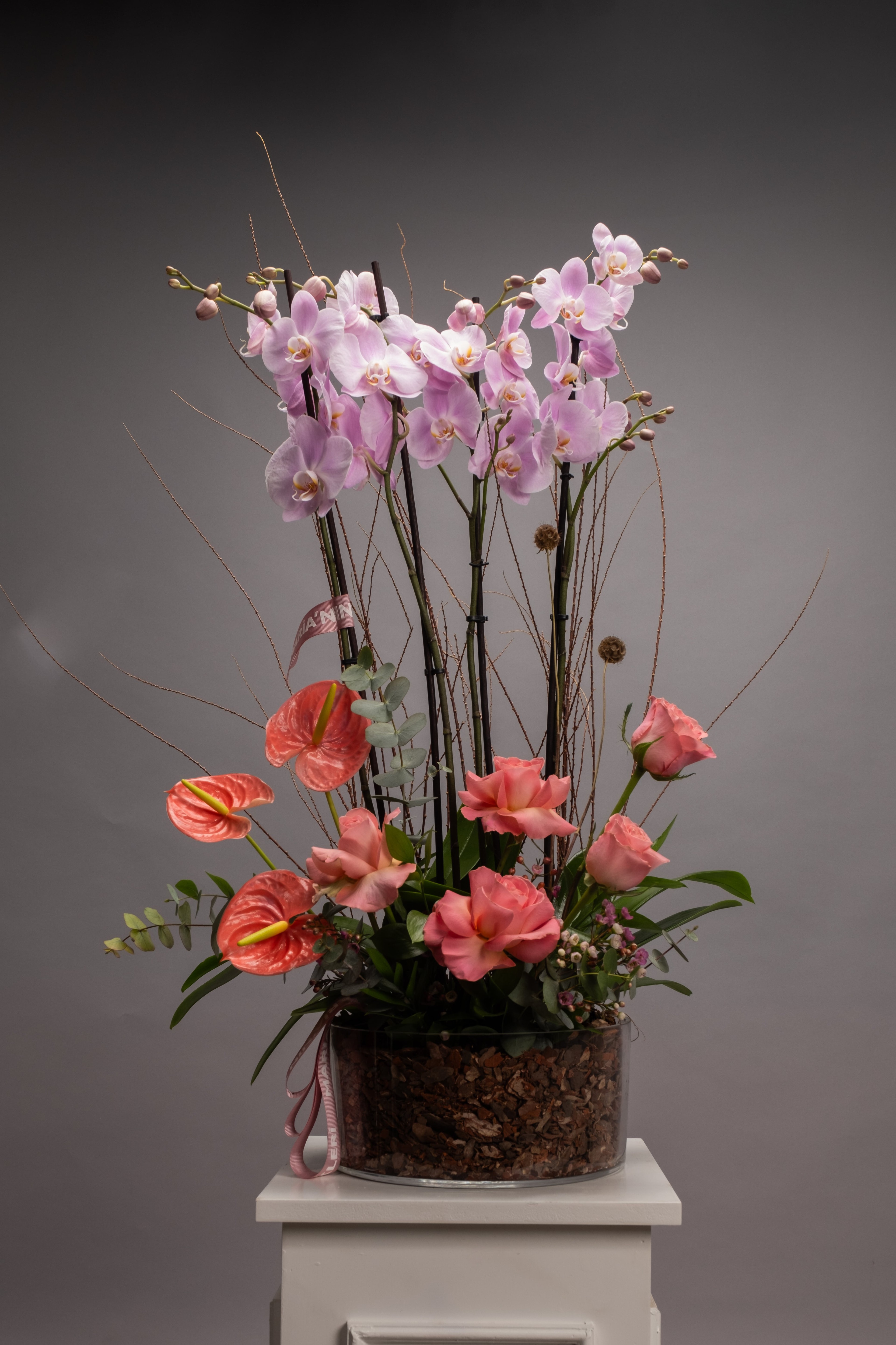 Romantik Orkide Aranjman