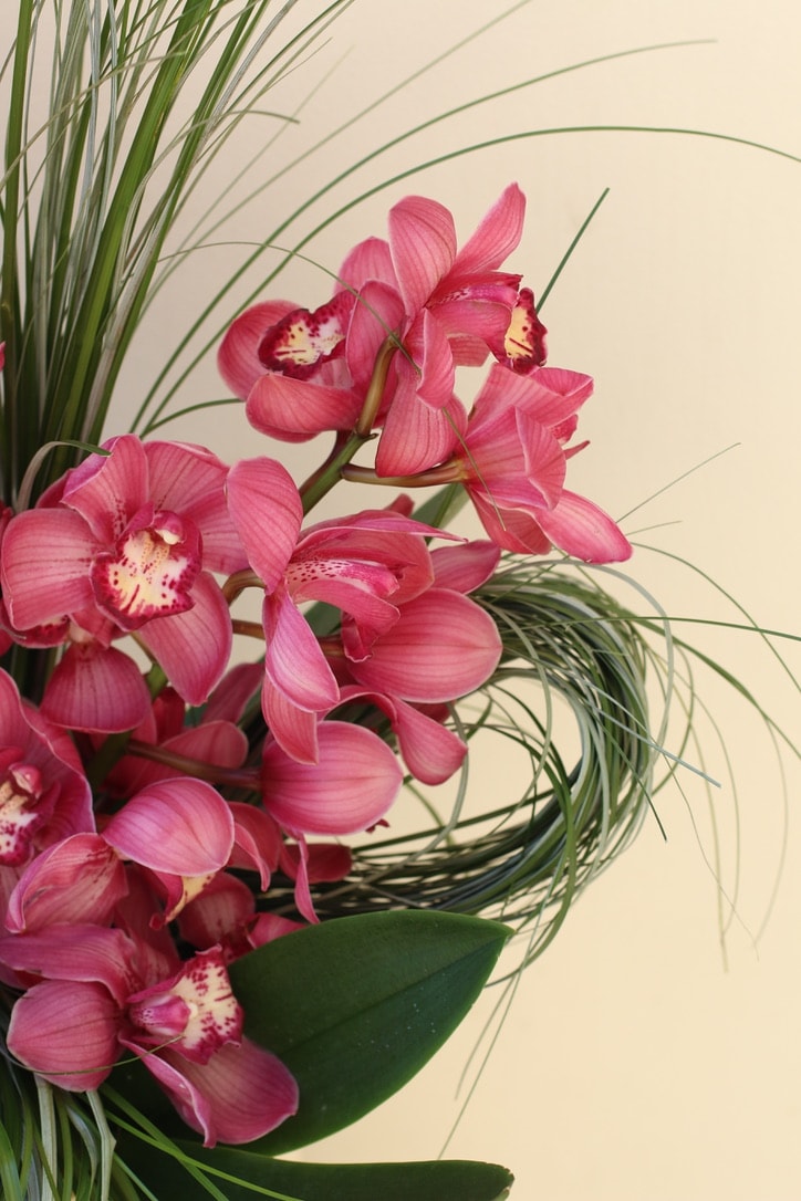 Blair Arrangement 