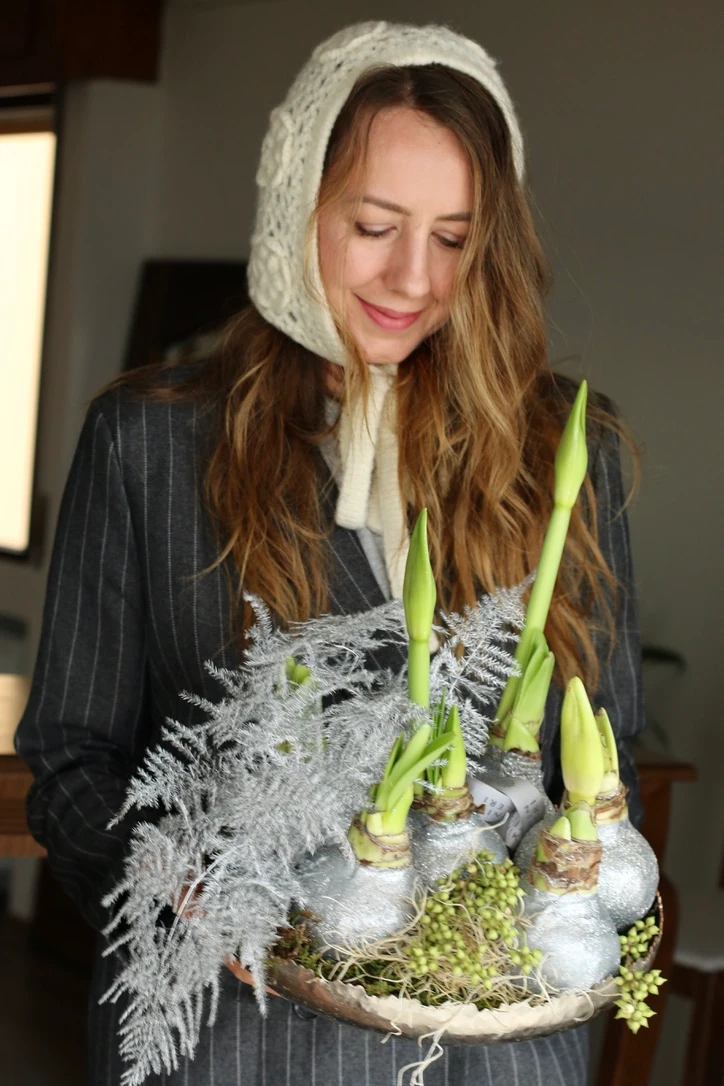 Six Wishes Of Amaryllis