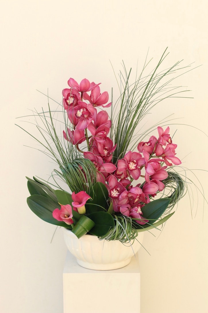 Blair Arrangement 