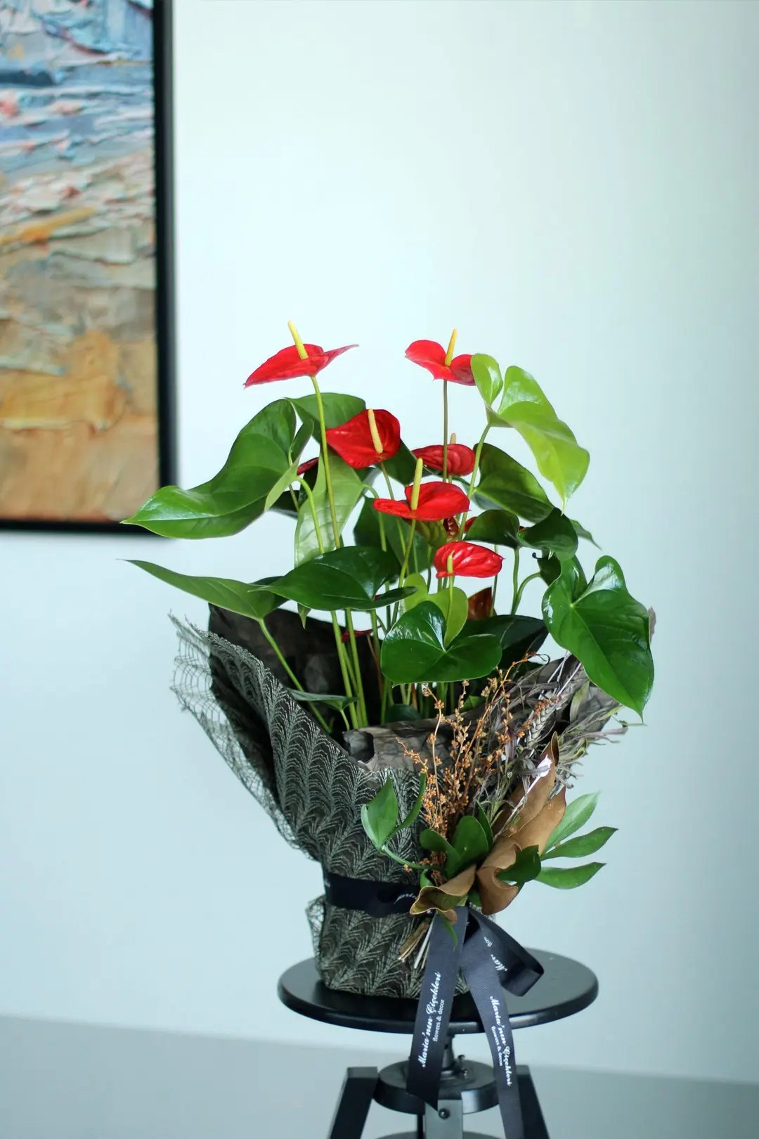 fiore anthurium Anthurium Lover