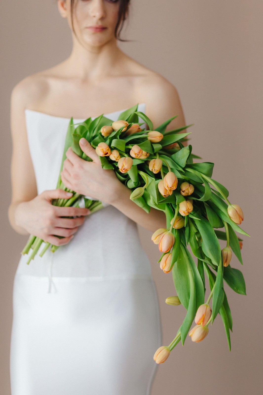 Timeless Tulip