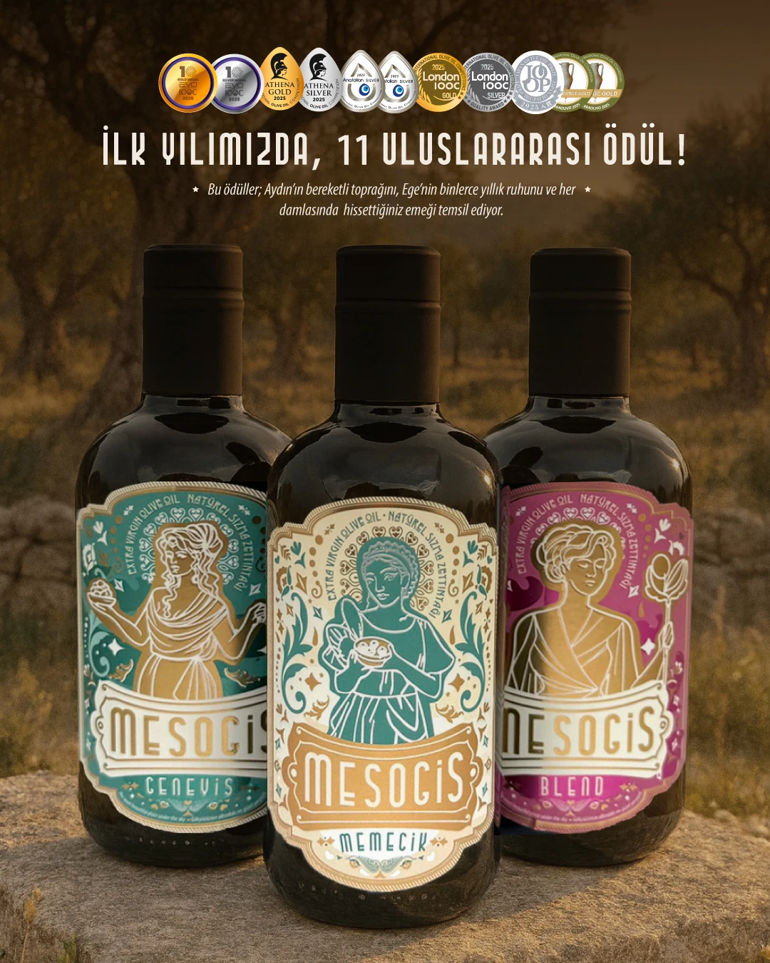 Mesogis Blend – Yumuşak & Çok Yönlü Natürel Sızma Zeytinyağı | Erken Hasat | Soğuk Sıkım | 500ml 2024-2025 sezonu