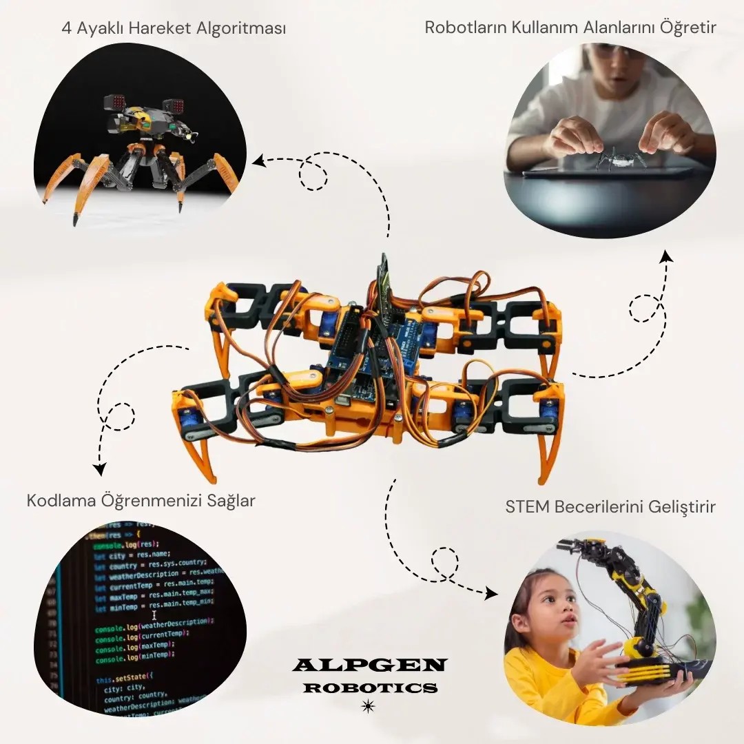 3D PLA Baskı Örümcek Robot Gövdesi (Elektroniksiz) Demonte