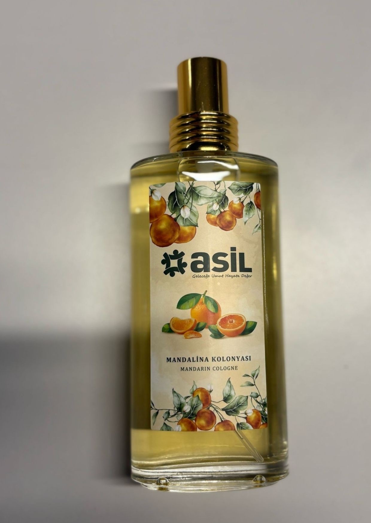 Asil Mandalina Kolonyası