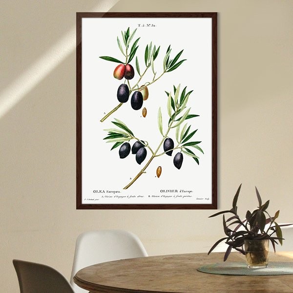 Zeytin Dalı 1 Çerçeve ve Poster - MT1074