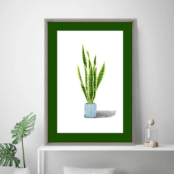 Kılıç Çiçeği 1 Çerçeve ve Poster - YB1066