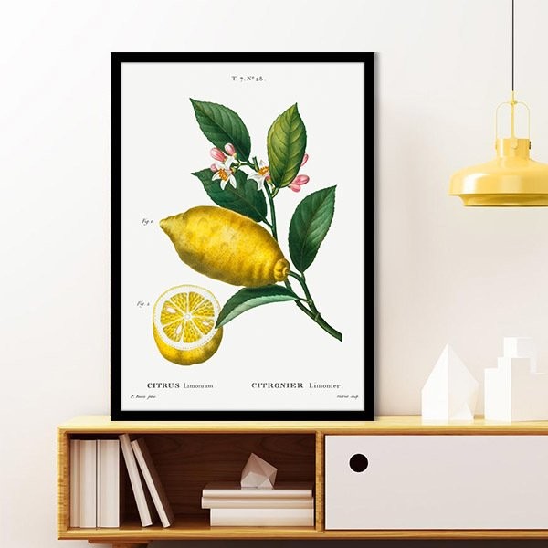 Limon 2 Çerçeve ve Poster - MT1073