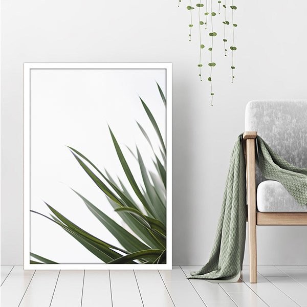 Aleo Yucca 1 Çerçeve ve Poster - YB1083