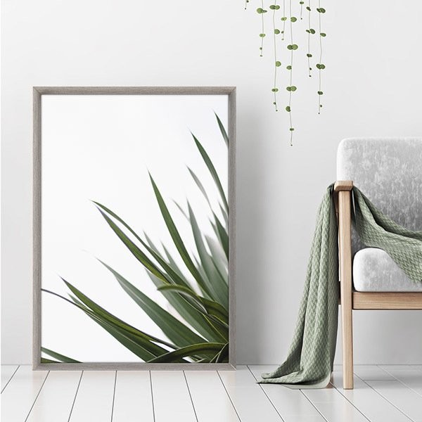 Aleo Yucca 1 Çerçeve ve Poster - YB1083