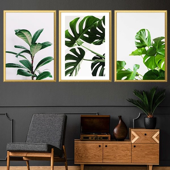 Monstera & Yaprak 3 Üçlü Çerçeve ve Poster Seti - YB1009