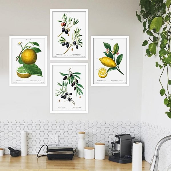 Limon ve Zeytin 1 Çoklu Çerçeve ve Poster Seti -MT1013