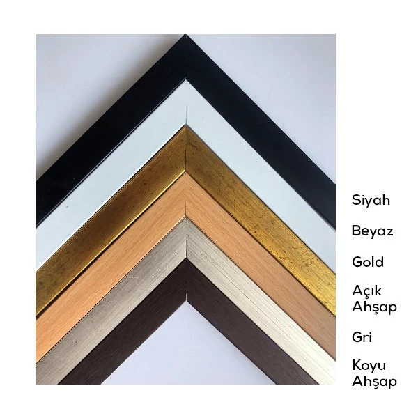 Kılıç Çiçeği 1 Çerçeve ve Poster - YB1066