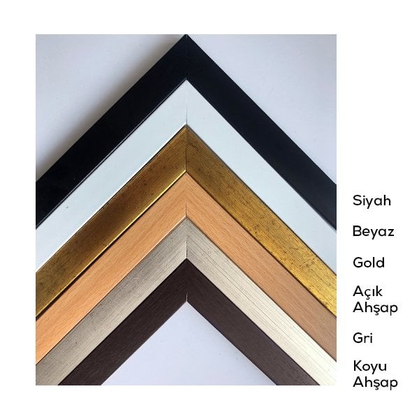 Gold Deve Tabanı & Güller & Yıldız Üçlü Çerçeve ve Poster Seti - G1003