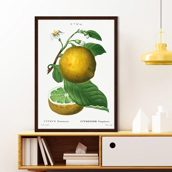 Limon 1 Çerçeve ve Poster - MT1072