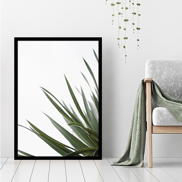 Aleo Yucca 1 Çerçeve ve Poster - YB1083