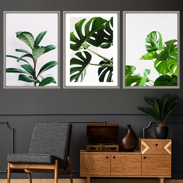 Monstera & Yaprak 3 Üçlü Çerçeve ve Poster Seti - YB1009