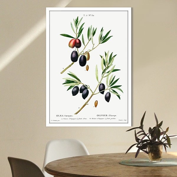 Zeytin Dalı 1 Çerçeve ve Poster - MT1074