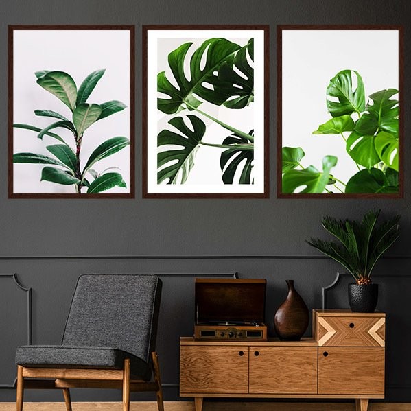 Monstera & Yaprak 3 Üçlü Çerçeve ve Poster Seti - YB1009