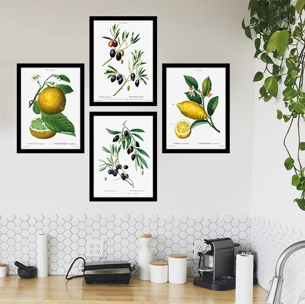 Limon ve Zeytin 1 Çoklu Çerçeve ve Poster Seti -MT1013