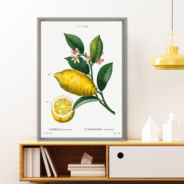 Limon 2 Çerçeve ve Poster - MT1073