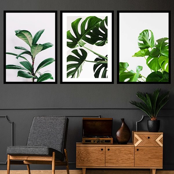 Monstera & Yaprak 3 Üçlü Çerçeve ve Poster Seti - YB1009